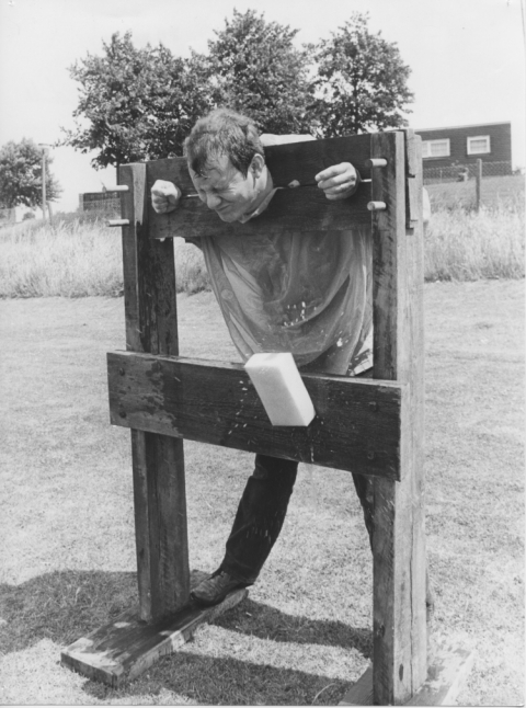 In the stocks